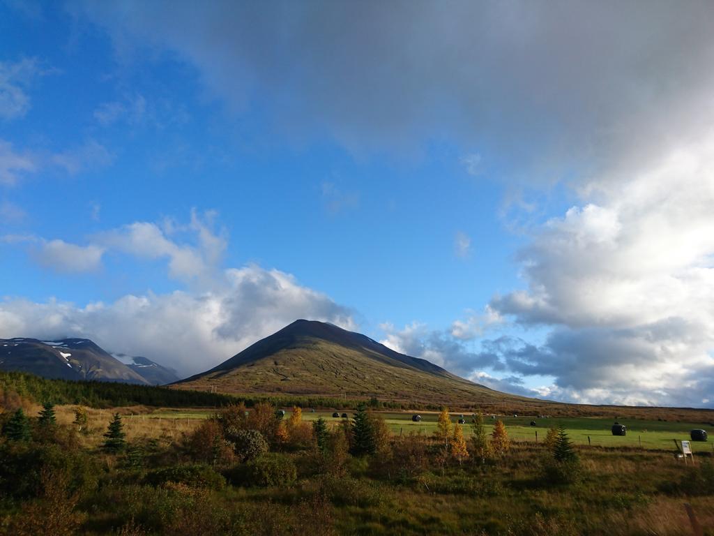 Stora Sandfell Rooms And Cottages Eksteriør bilde